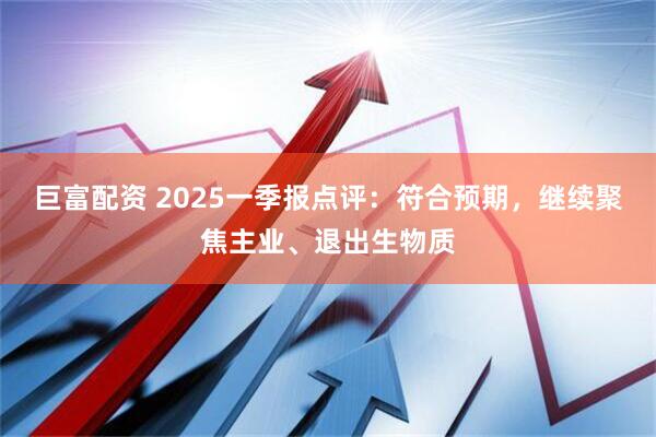 巨富配资 2025一季报点评：符合预期，继续聚焦主业、退出生物质
