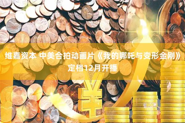 维嘉资本 中美合拍动画片《我的哪吒与变形金刚》定档12月开播