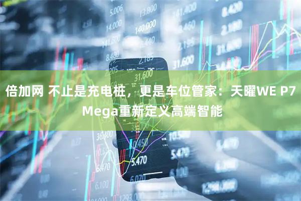 倍加网 不止是充电桩，更是车位管家：天曜WE P7 Mega重新定义高端智能